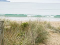 -Dooley's Premium Ice Cream