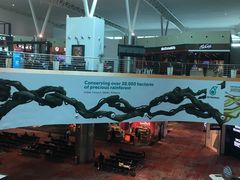 -吉隆坡国际机场