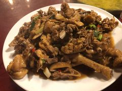 现杀果园鸡—黄焖鸡-生态苑农庄(十里画廊遇龙河店)