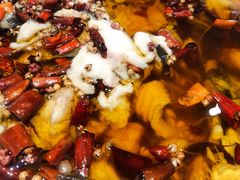 -宏宴·新京菜(望京店)