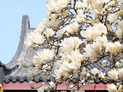 -杭州上天竺法喜讲寺