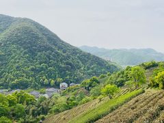 -午潮山国家森林公园