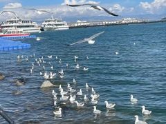 -青海湖国家重点风景名胜区