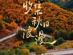 -苏木山森林公园