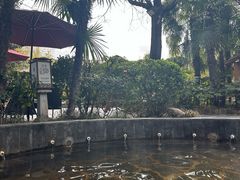 -西安国际创新人才交流中心•药浴温泉