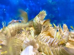 -吕氏疙瘩汤·私家菜馆(慈云寺店)