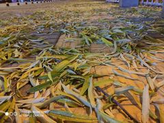 -杭州钱江新城万怡酒店-西餐厅