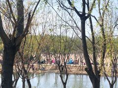 -东郊湿地公园