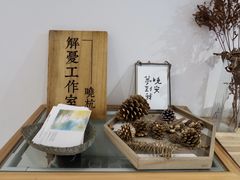 -猫里有甜