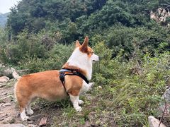 -灵山