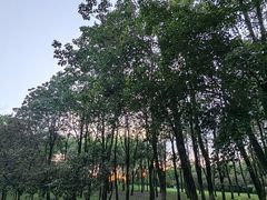 -洨河生态公园