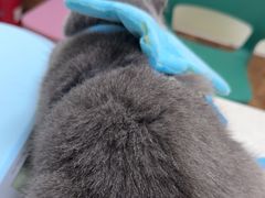 -美联众合24小时·皮肤科·外科·全科诊疗中心(华苑分院)