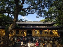 -普陀山风景名胜区-法雨禅寺