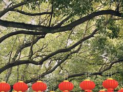 -狼山风景名胜区