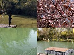 -西溪国家湿地公园