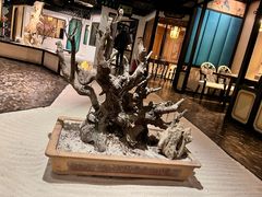 -九朝会昆曲·宴(望京店)