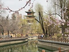 -迎泽公园