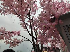 -首开·龙湖成都西宸天街
