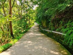 -紫金山山顶公园