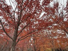 -辽宁大学(崇山校区)