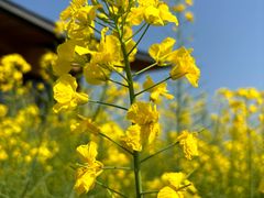 -中国天府农业博览园