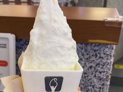 -野人先生Gelato(上海长宁龙之梦店)