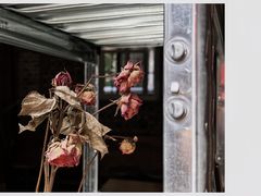 -VOYAGE COFFEE(北锣鼓巷店)