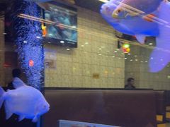 -新辉港式茶餐厅(北栅店)