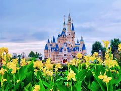 -上海迪士尼度假区