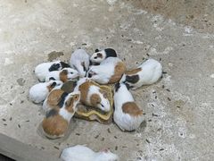 -苏州海洋馆