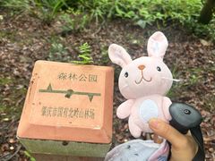 -羚羊峡古栈道森林公园