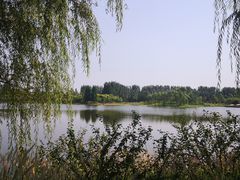 -东郊湿地公园