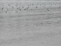 -台场海滨公园船码头