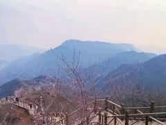 -大岭沟猕猴桃谷风景区