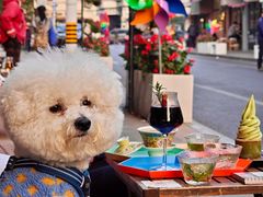 -茶是一枝花泡茶店