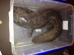 黔蘑菇四季餐厅(观山湖店)-黔蘑菇四季餐厅(观山湖店)