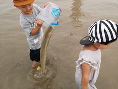 -南汇嘴观海公园