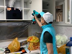 -Liteclear日本进口强效除甲醛检测治理(旗舰店)