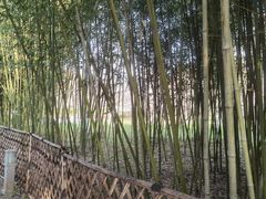 -春晖园度假酒店温泉