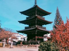 -医王山·飞騨国分寺