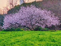 -白塘生态植物园