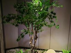 -鹤祥宫影院足道SPA连锁(吉大万国汇钰海店)