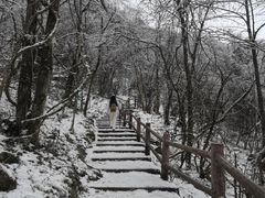 -九峰山