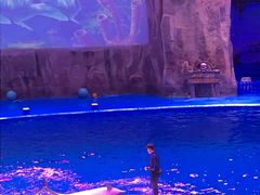 -华夏文旅海洋公园