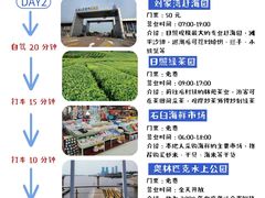 -日照灯塔风景区