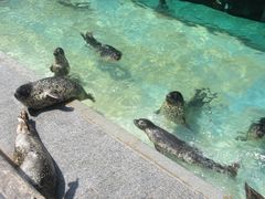 -蓬莱欧乐堡海洋极地世界