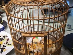 -花溪雨·森林餐厅(石基店)