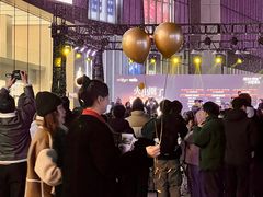-金茂览秀城