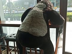 -ZOO COFFEE动物园咖啡(望京锐创店)