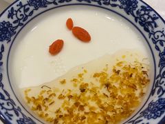 -金蝉食府(维吉奥广场店)